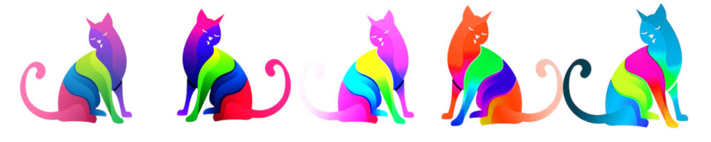 chat 3 couleurs