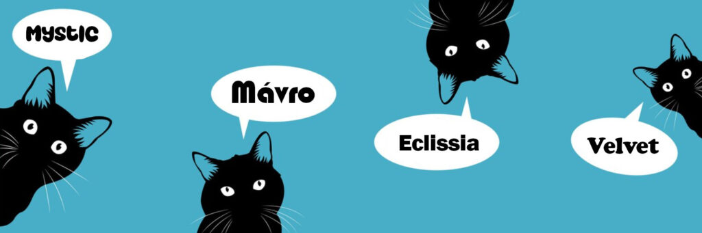 chat noir nom
