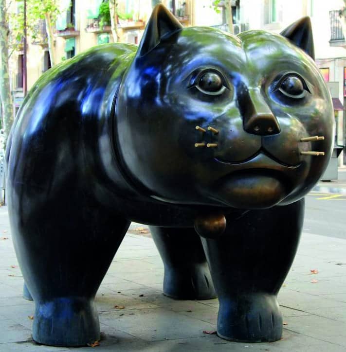 chat raval barcelone