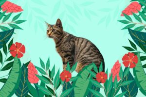 prenom chat nature